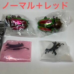 いきもの大図鑑　ニジイロクワガタ　ノーマル＋レッド　未開封品