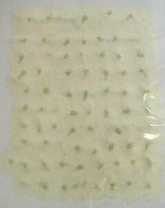  business use pressed flower verbena white high capacity 500 sheets dry flower deco resin . seal 