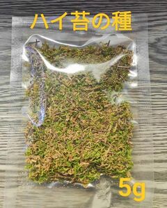 フリマ最安値 図解説明書付き ハイ苔の種 5g 約20cm×約10cmサイズ！ 日本製