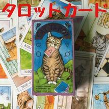 新品 タロットカード 占い 猫 キャットスピリチュアル ライダー版 新品 未使用_画像1