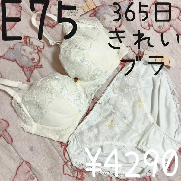 新品タグ付　匿名配送　チュチュアンナ　365日きれいブラ　上下セット　ホワイト　E75 L 大きいサイズ　大きなサイズ　ピュア