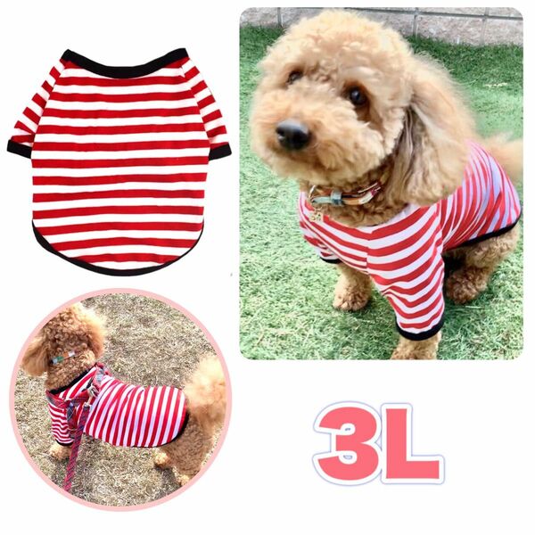 犬服 犬 服 かわいい ボーダー ストライプ Tシャツ 小型犬 赤 3Lサイズ