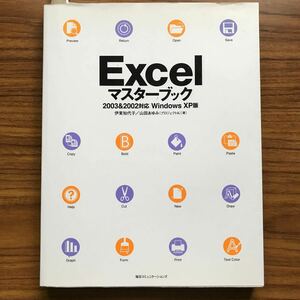 Excelマスターブック2003＆2002対応WindowsXP版 伊東知代子 山田あゆみ 毎日コミュニケーションズ 2005年7月23日初版第1刷 9784839918316