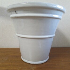 未使用RHS英国王立園芸協会監修 陶器鉢 ホワイト直径約27㎝前後の画像2