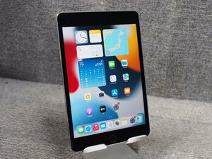 Apple iPad mini4 64GB Wi-Fi MK9G2J/A A1538 動作品 中古 D50370