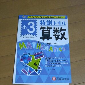 特訓ドリル算数　ワンランク上の学力をつける！　小３ （ワンランク上の学力をつける！） 総合学習指導研究会／編著