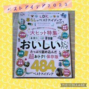 ＬＤＫ暮らしのベストアイディア２０２３ 保存版 /テストする女性誌/晋遊舎ムック