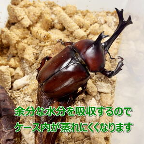 【RK】成虫用マット 1kg 3個 昆虫ペレット カブトムシ・クワガタに最適！！ 成虫飼育におすすめ！の画像6
