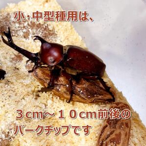 【RK】転倒防止材 400g 3個 昆虫用バークチップ 小型～中型種用 カブトムシ・クワガタに最適の画像4