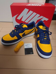 美品 ナイキ ターミネーター ロー OG ミシガン NIKE TERMINATOR LOW OG MICHIGAN FJ4206-700 27.5㎝:US9.5