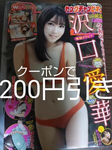 ヤングチャンピオン　沢口愛華　クリアファイル　ポスターあり