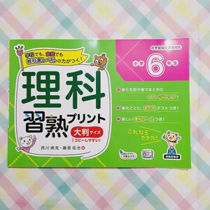 理科 習熟プリント 大判サイズ 6年生