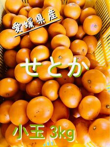 小玉3kg 愛媛県産せとか　家庭用