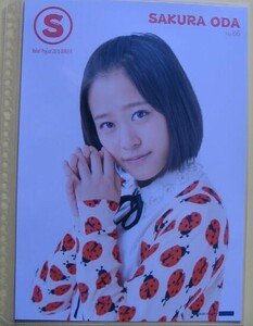 小田さくら モーニング娘。'15 Hello!Project 2015WINTER コレクションピンナップポスター