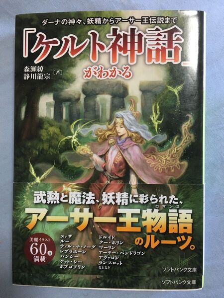「ケルト神話」がわかる ダーナの神々、妖精からアーサー王伝説まで (ソフトバンク文庫 モ1-5) 森瀬繚/著 静川竜宗/著