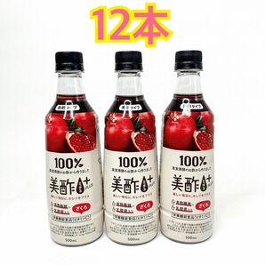 美酢　プラス　ミチョ　ざくろ　希釈タイプ　500ml 12本セット CJジャパン