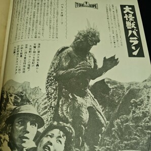 希少 大怪獣バラン 映画パンフレット 特技監督 円谷英二 1958年 当時物 東宝の画像8