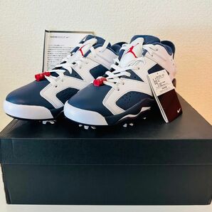 Nike Air Jordan 6 Retro Low Golf