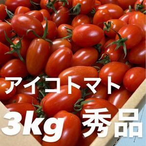 3月までの価格 アイコトマト3kg秀品