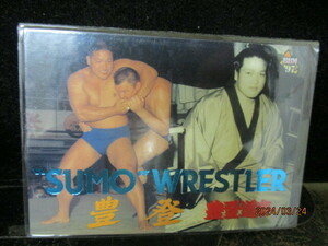 ★プロレスカード 豊登 1997 BBM プロレス　#375 　即決!!