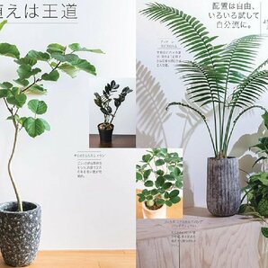 NHK趣味の園芸 観葉植物 パーフェクトブック (生活実用シリーズ)の画像3