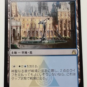 【神聖なる泉 2/29開封品】ラヴニカリマスター MTG レア 日本語 1枚 RVR【未使用美品】の画像1