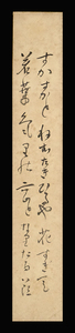 <E24218>[ genuine work ] island inside .. autograph tanka tanzaku [............ flower ......] Showa era era. . person Saga prefecture ..