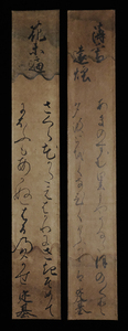 ＜CS3744＞【真作】野宮定基 肉筆和歌短冊２枚一括／江戸時代前期-中期の公卿・有職家