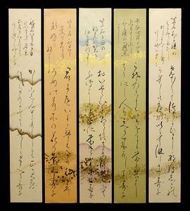 <C194997>[ genuine work ] height ... autograph Waka tanzaku 5 sheets | Meiji * Taisho period. woman .. samurai woman . length 