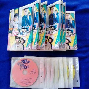  韓国ドラマ 君のハートを捕まえろ! DVD 全話