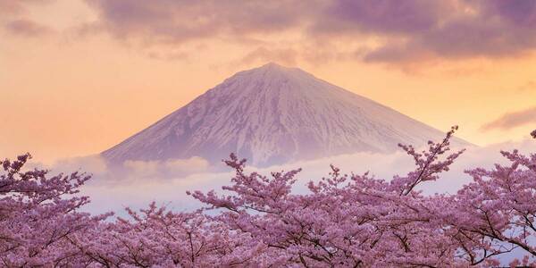 新品 世界遺産 「富士山」の高精度写真、高級印刷 したもの。額なしA4版サイズ。送料込み 特価８００円　即決