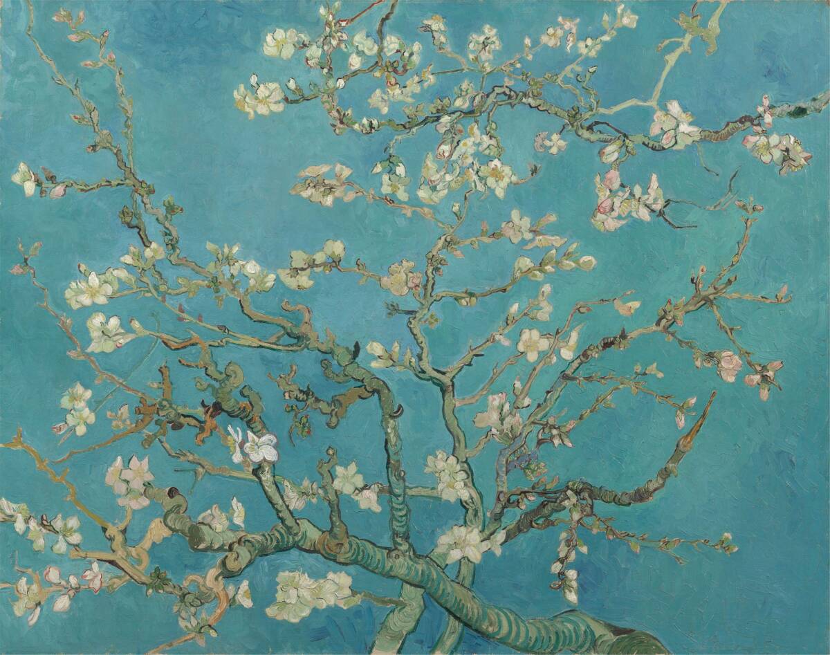 Flambant neuf Van Gogh Branches d’un amandier en fleurs format A4 impression de haute qualité, sans cadre, Ouvrages d'art, Peinture, autres