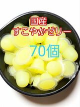 【送料無料】 国産 すこやかゼリー16g 70個 KBファーム 昆虫ゼリー カブトムシ クワガタ ハムスター等 小動物_画像1