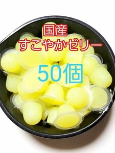 【送料無料】 国産 すこやかゼリー16g 50個 KBファーム 昆虫ゼリー カブトムシ クワガタ ハムスター等 小動物