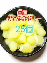 【送料無料】 国産 すこやかゼリー16g 25個 KBファーム 昆虫ゼリー カブトムシ クワガタ ハムスター等 小動物_画像1