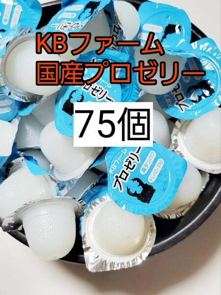 【送料無料】 国産 プロゼリー16g 75個 KBファーム 昆虫ゼリー カブトムシ クワガタ ハムスター等 小動物