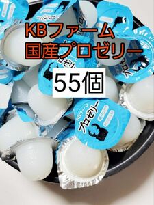 【送料無料】 国産 プロゼリー16g 55個 KBファーム 昆虫ゼリー カブトムシ クワガタ ハムスター等 小動物