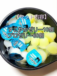 【送料無料】 国産 すこやかゼリー16g 10個 プロゼリー16g 60個 KBファーム 昆虫ゼリー カブトムシ クワガタ ハムスター等 小動物