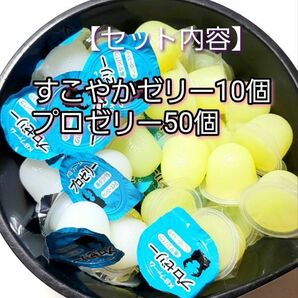 【送料無料】 国産 すこやかゼリー16g 10個 プロゼリー16g 50個 KBファーム 昆虫ゼリー カブトムシ クワガタ ハムスター等 小動物