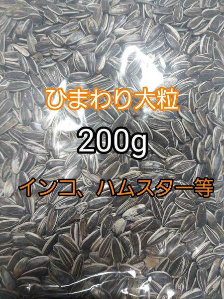 ひまわりの種 大粒 200g ひまわりの種 鳥の餌 小動物の餌 オウム インコ ハムスター