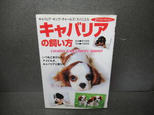 キャバリアの飼い方 いつもごきげんなアイドル犬、キャバリアと暮らす (愛犬セレクション)　　3/8503