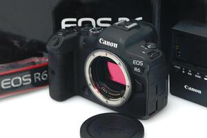  прекрасный товар l Canon EOS R6 корпус γT871-2Q3