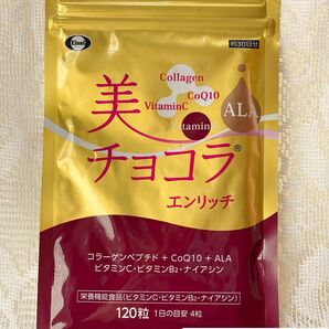 いいねくださった方へ♪エーザイ美チョコラ　エンリッチ　120粒