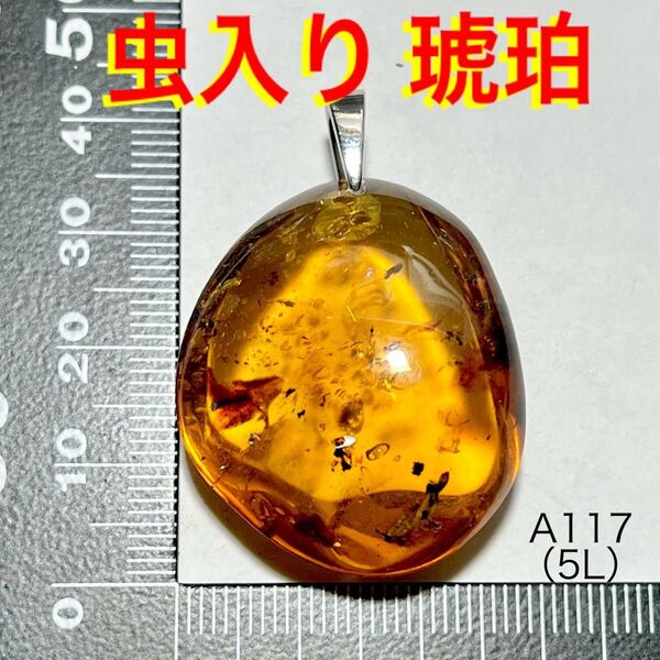 天然石 虫入り 琥珀 ペンダントトップ (5L)