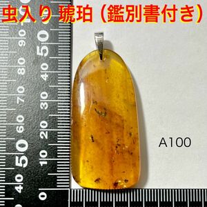 天然石 虫入り 琥珀 ペンダントトップ （4L）鑑別書付き