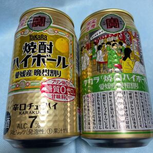 焼酎ハイボール愛媛産晩柑割り12本