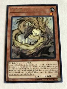 遊戯王　地　天威龍－アーダラ　レア