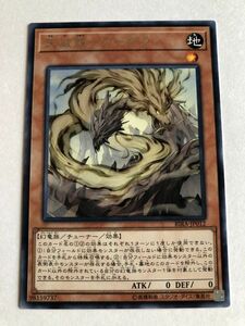 遊戯王　地　天威龍－アーダラ　レア　傷あり