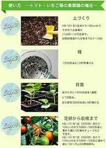 フローラ 植物活力剤 HB-101 緩効性 アンプル 10本入り 30ml(原液6mlサンプル付き_画像6