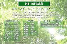 フローラ 植物活力剤 HB-101 緩効性 アンプル 10本入り 30ml(原液6mlサンプル付き_画像4